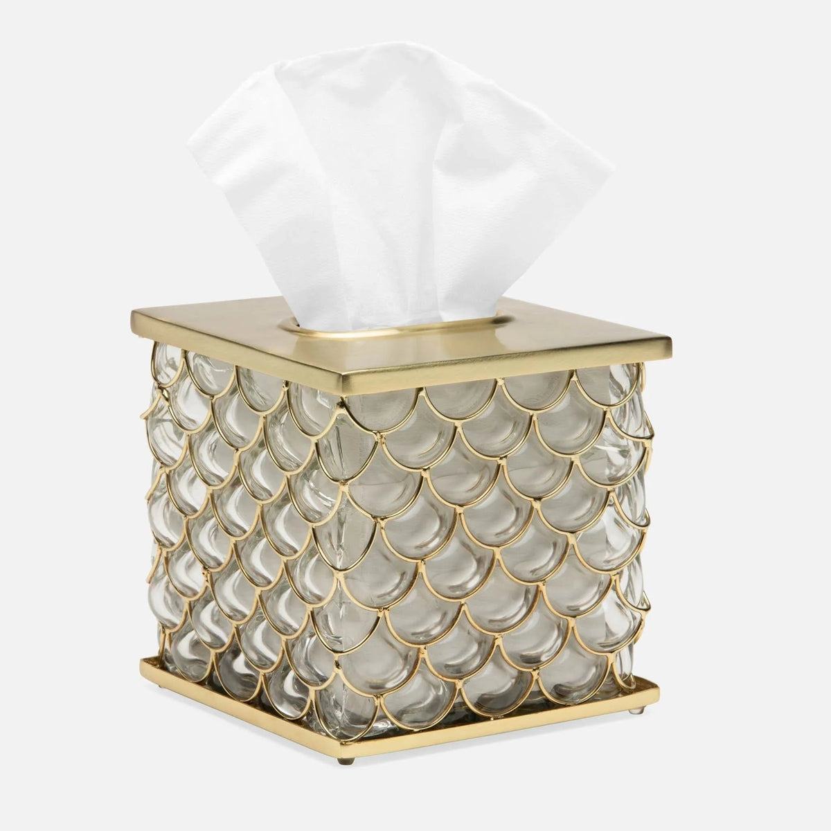 Pigeon and Poodle PP004463 Gila Tissue Box in Clear Glass/Brushed Gold Brass