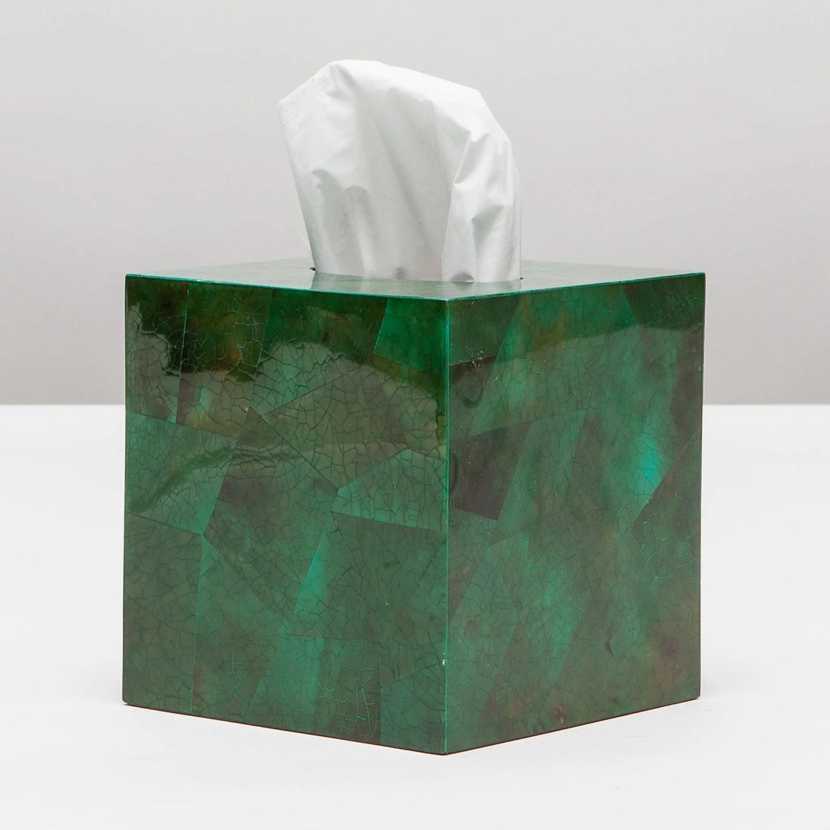Pigeon and Poodle PP001198 Palm Tissue Box in Emerald Shell