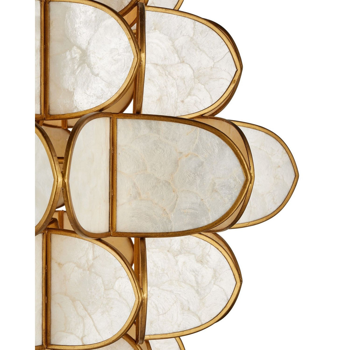 Currey and Company 9000-1339 Galatea Chandelier in Natural/Brass