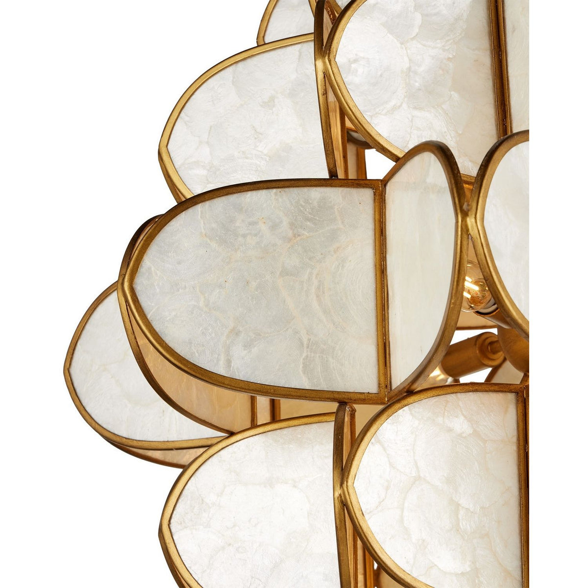 Currey and Company 9000-1339 Galatea Chandelier in Natural/Brass