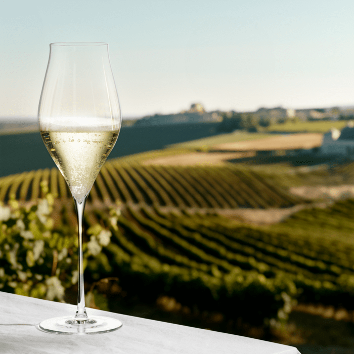Holmegaard 4304700 Notes Wine Glasses in Clear