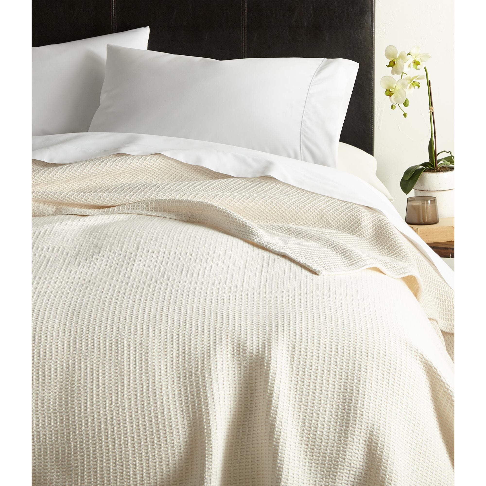 Peacock Alley RIV -K WHT Riviera White