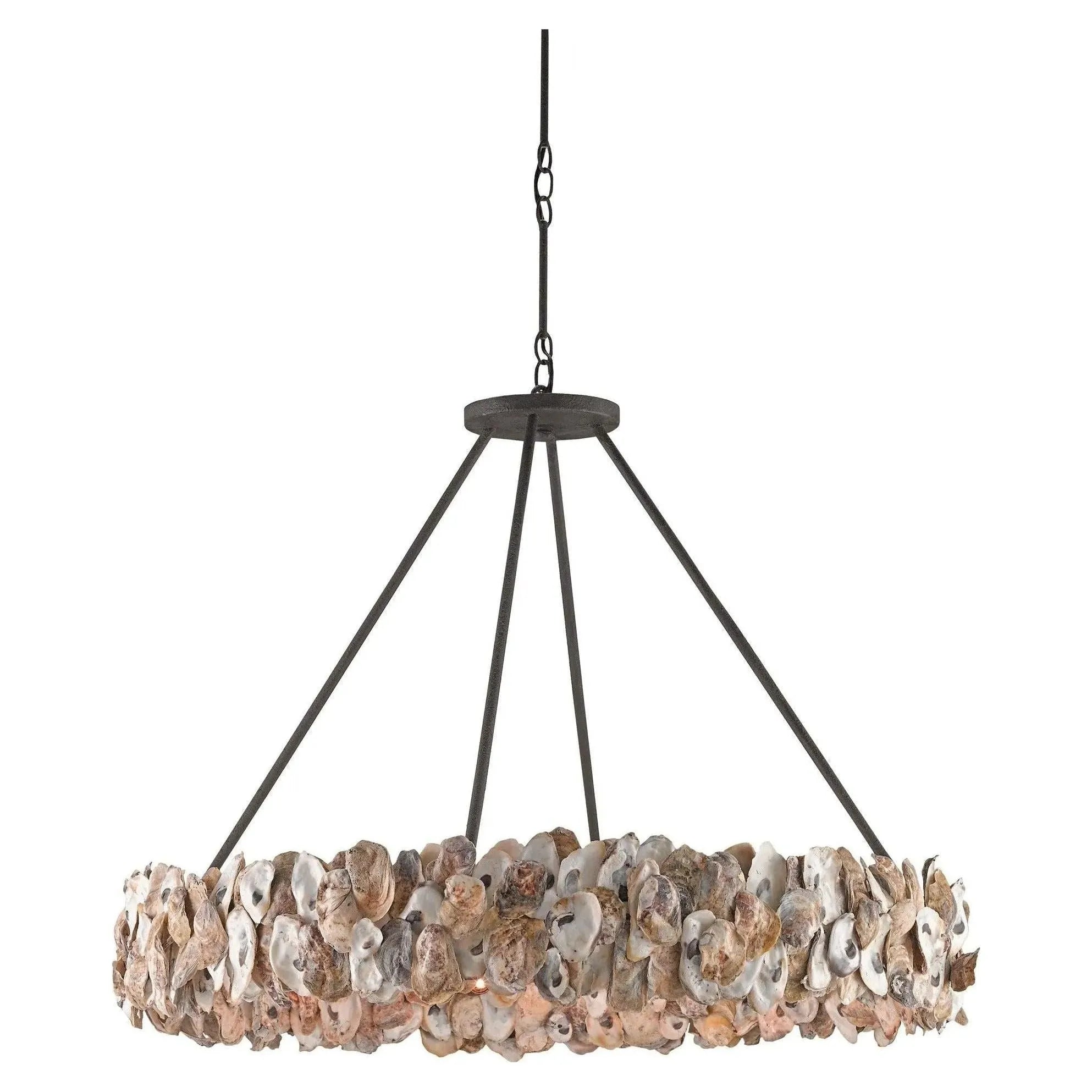 Currey and Company - Oyster Chandelier - 9672 | The Rug District