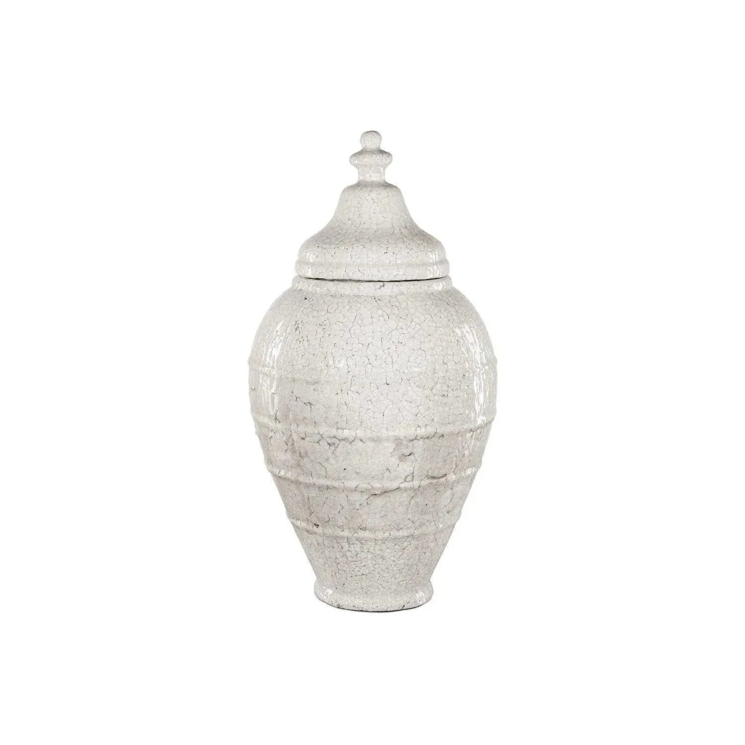 Currey and Company - Virginal Jar - 1200-0883 | The Rug District