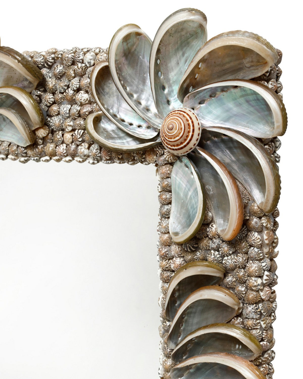 Currey and Company 1000-0175 Halcyon Mirror in Natural/Silver