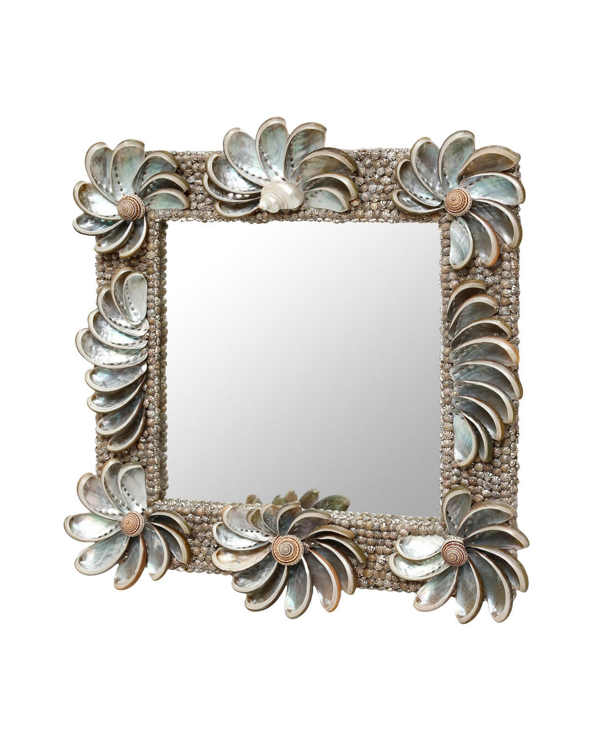 Currey and Company 1000-0175 Halcyon Mirror in Natural/Silver
