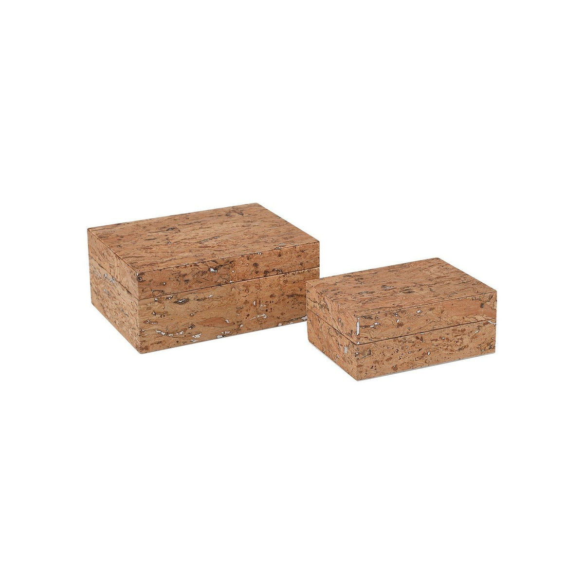 Currey and Company 1200-1149 Comporta Box Set of 2 in Natural