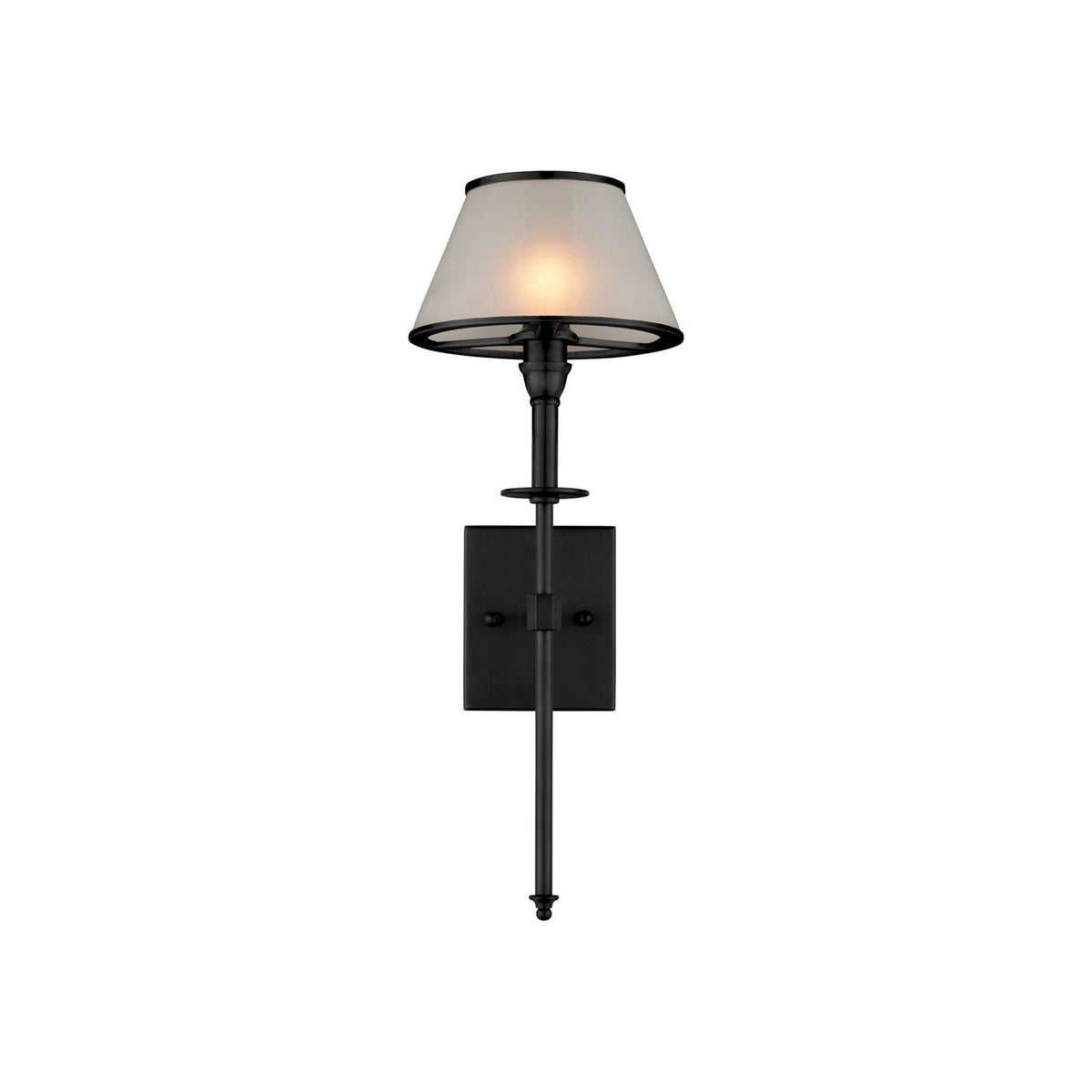 Currey and Company 5500-0065 Ronaldo Outdoor Wall Sconce in Matte Black/Frosted