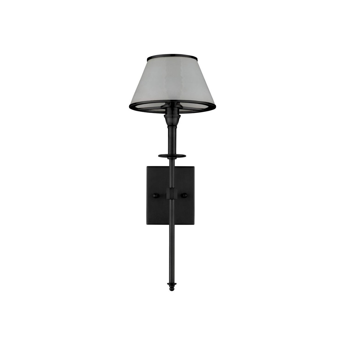 Currey and Company 5500-0065 Ronaldo Outdoor Wall Sconce in Matte Black/Frosted
