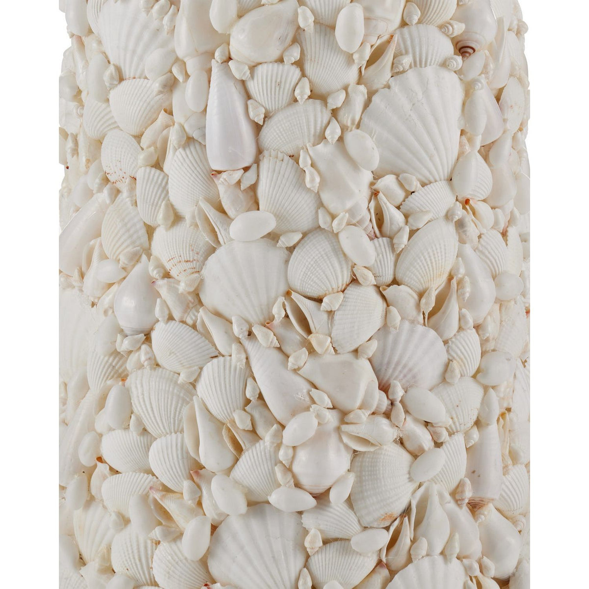 Currey and Company 8000-0189 Turbinella Floor Lamp in Sugar White/Natural
