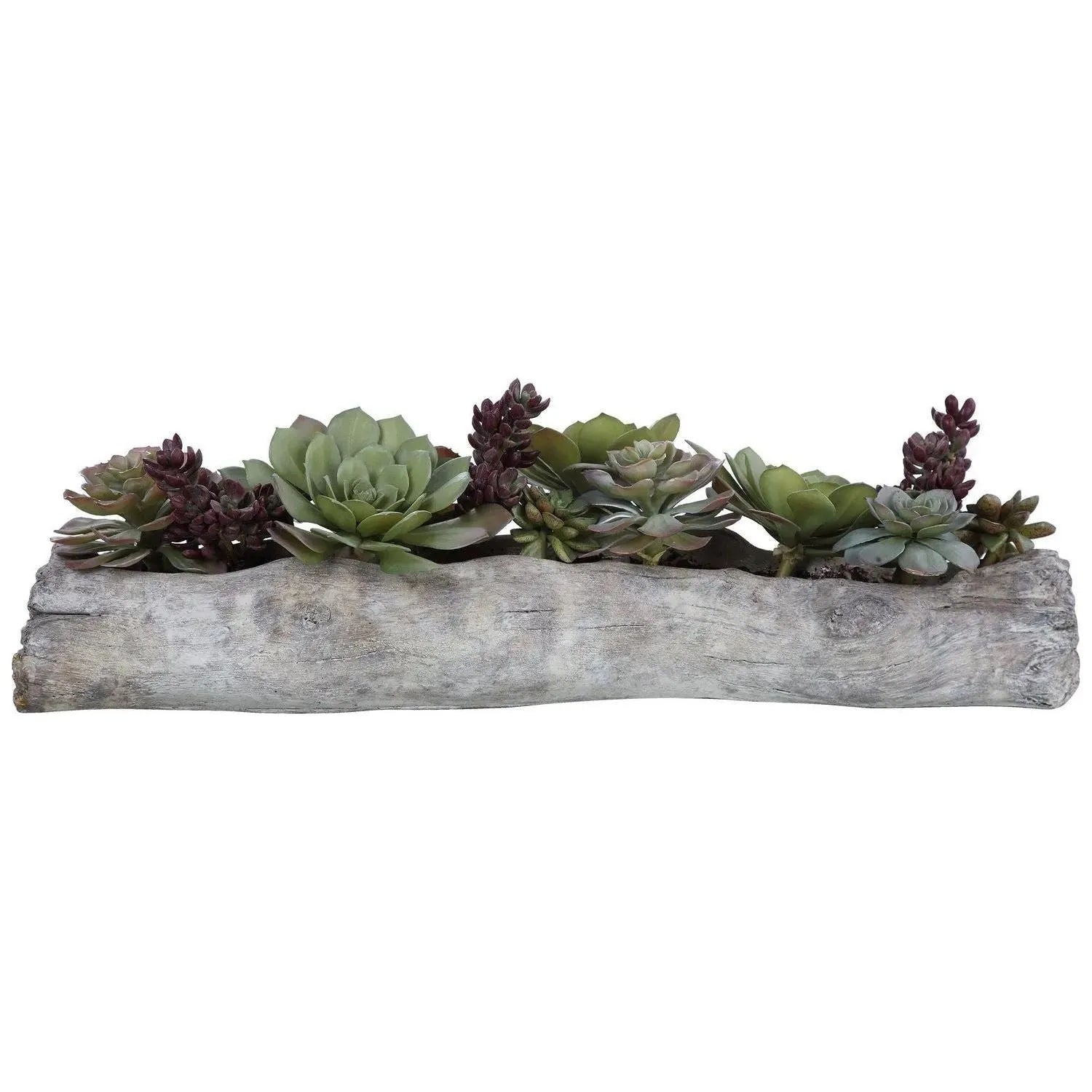 The Uttermost - Charita Succulents - 60174 | The Rug District