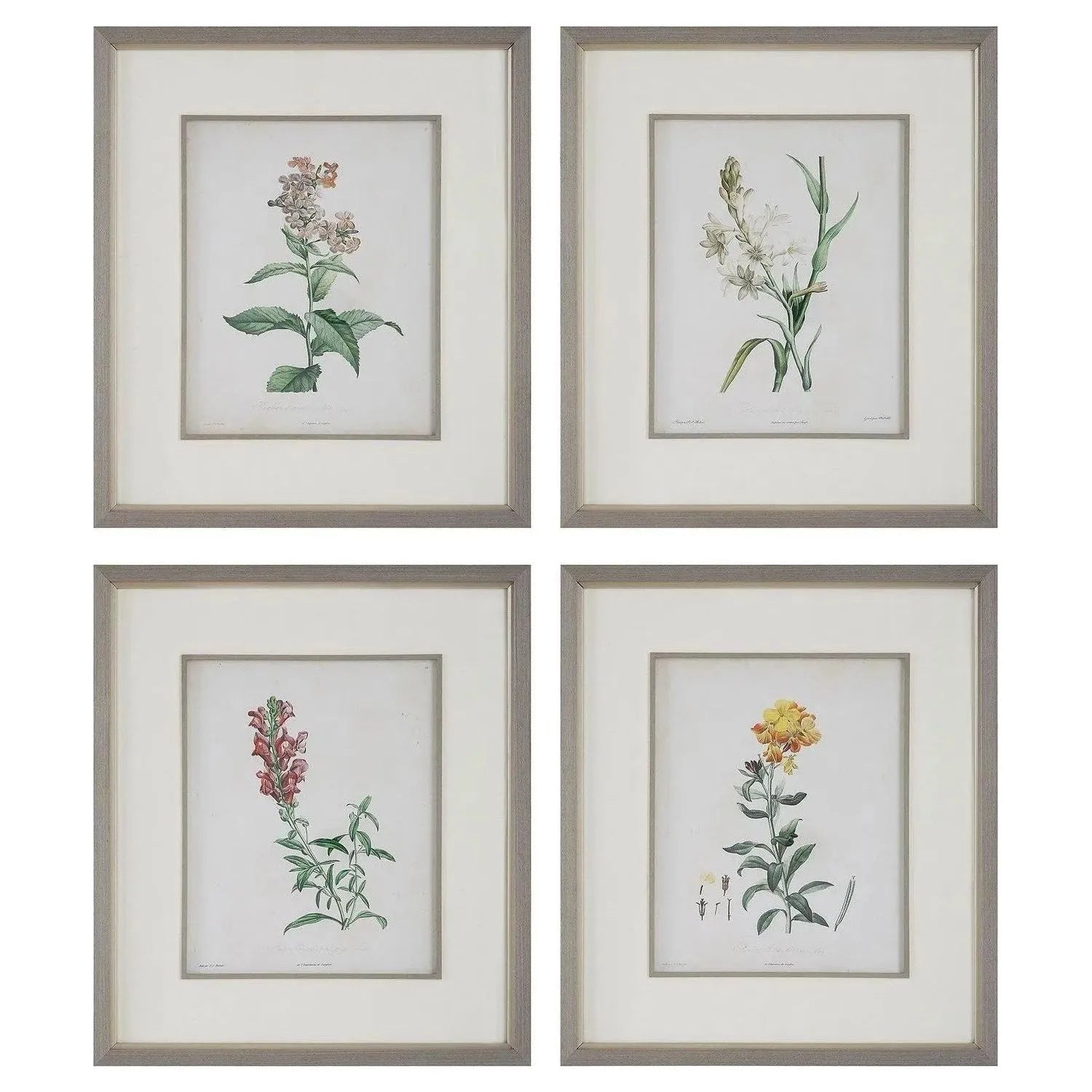 The Uttermost - Heirloom Blooms Framed Prints Set/4 - 32285 | The Rug District