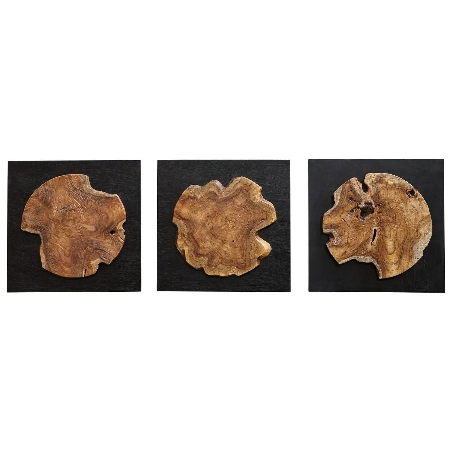 The Uttermost - Kolini Wall Decor - Set of 3 - 04336 | The Rug District