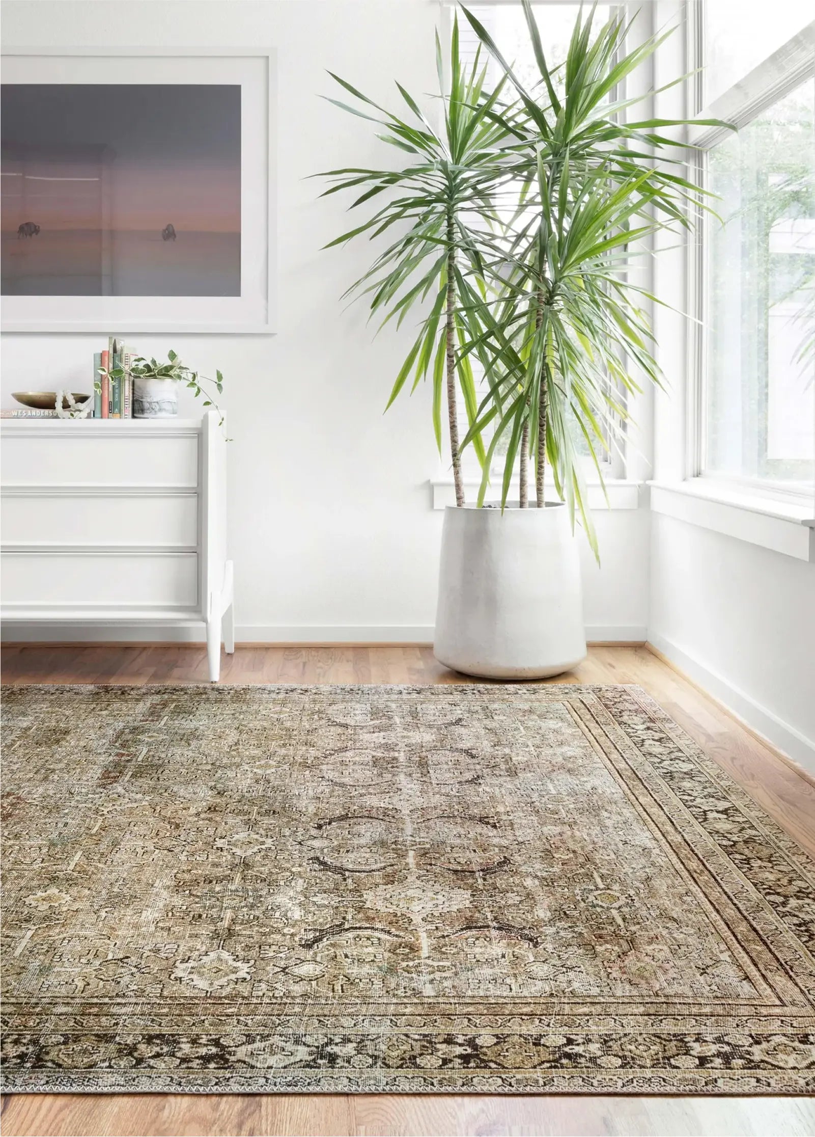 Traditional Rugs