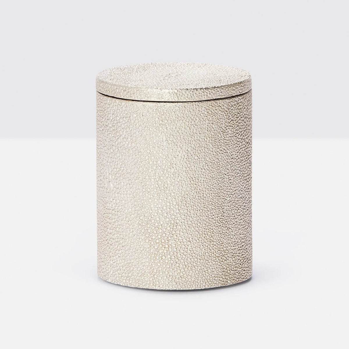 Pigeon and Poodle PP001057 Manchester Canister (Small) in Warm Silver Realistic Faux Shagreen