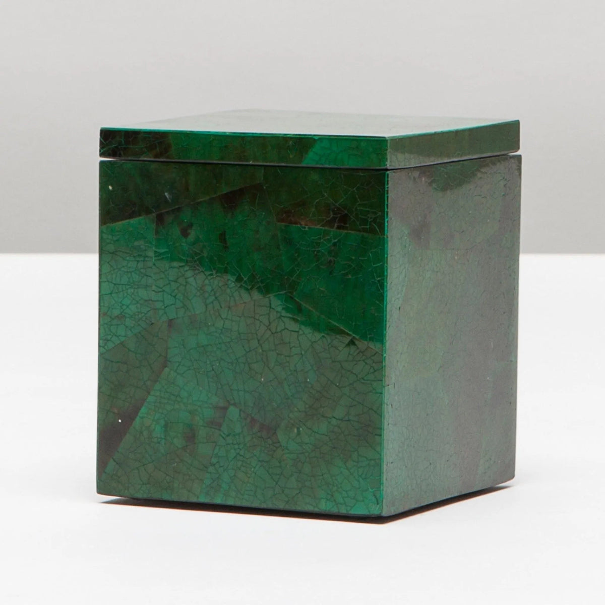 Pigeon and Poodle PP001195 Palm Bath Canister in Emerald Shell
