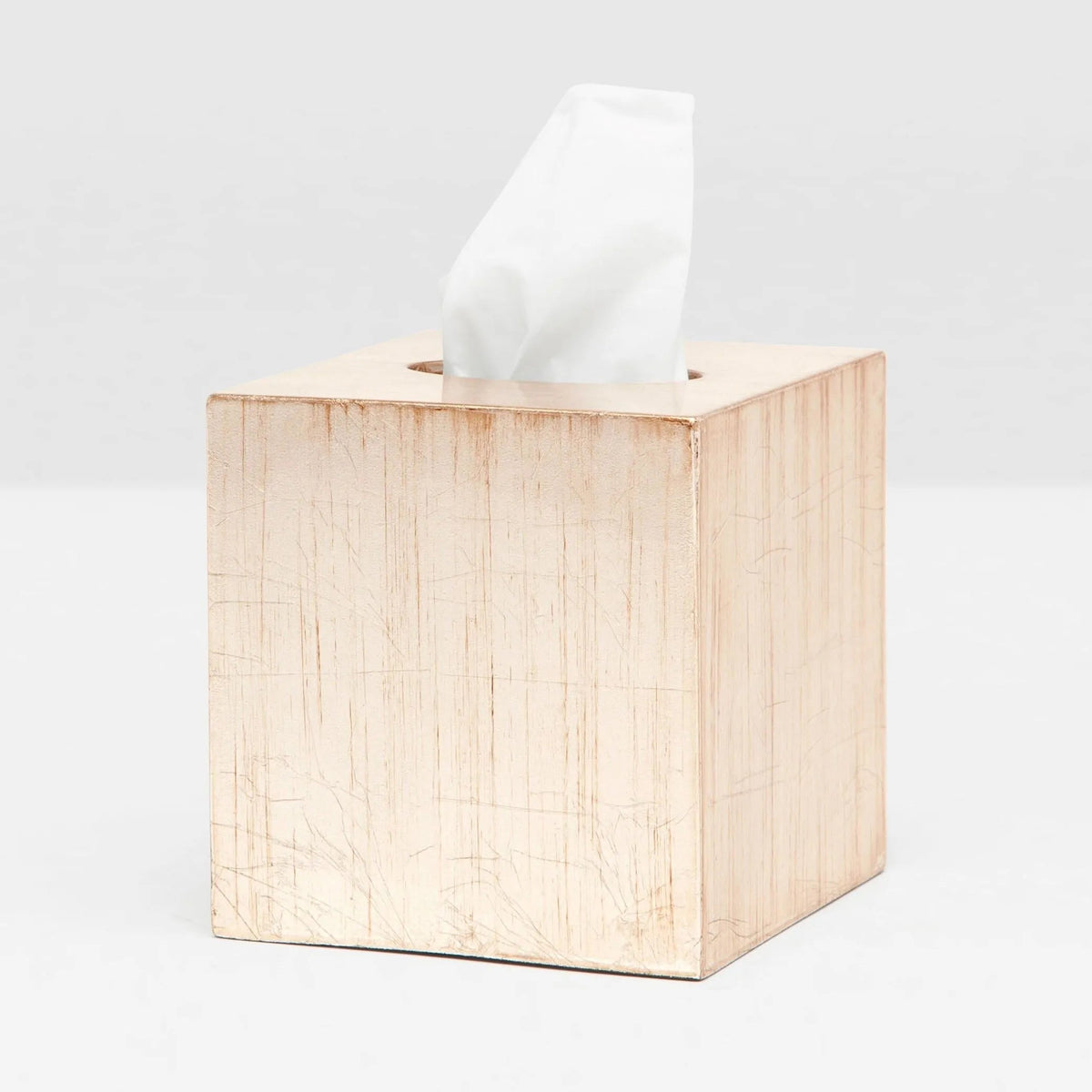 Pigeon and Poodle PP001435 Tanlay Tissue Box in Lacquered Silver Leaf