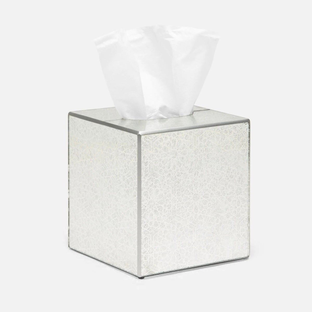 Pigeon and Poodle PP004156 Caro Tissue Box in Silver Medallion Painted Mirror