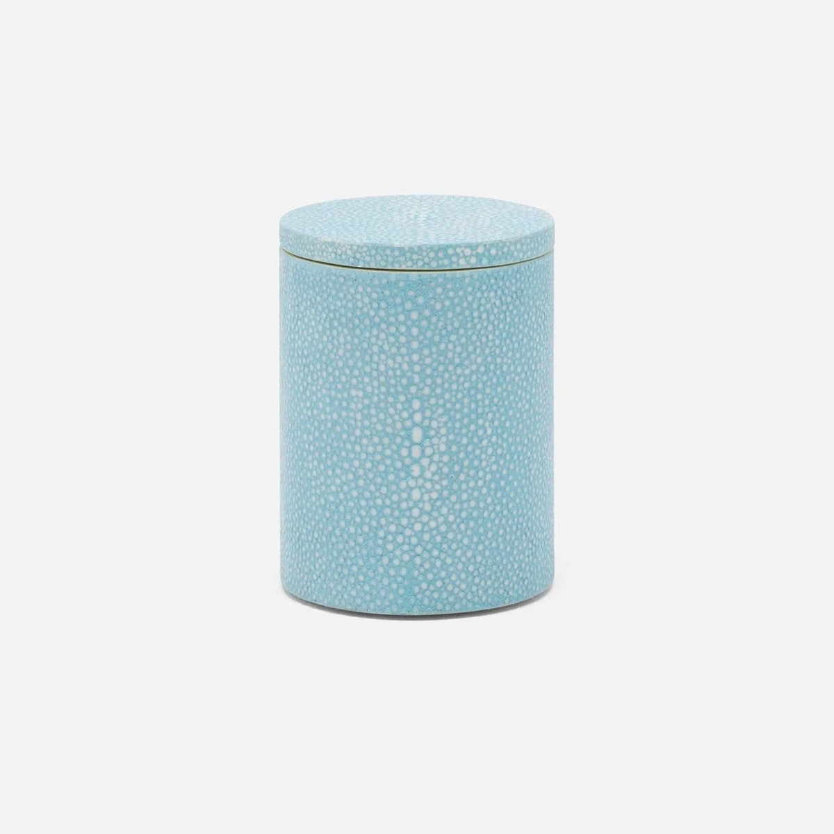 Pigeon and Poodle PP007624 Manchester Canister (Small) in Powder Blue Realistic Faux Shagreen