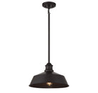 Meridian M7021ORB One Light Pendant in Oil Rubbed Bronze