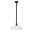 Meridian M7023ORB One Light Pendant in Oil Rubbed Bronze