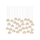 Currey and Company - 9000-1182 - 30 Light Pendant - Virtu - Natural
