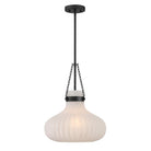 Meridian M7046MBK One Light Pendant in Matte Black