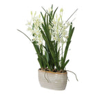 Uttermost - 60227 - Planter - Ariana Orchid - Cream