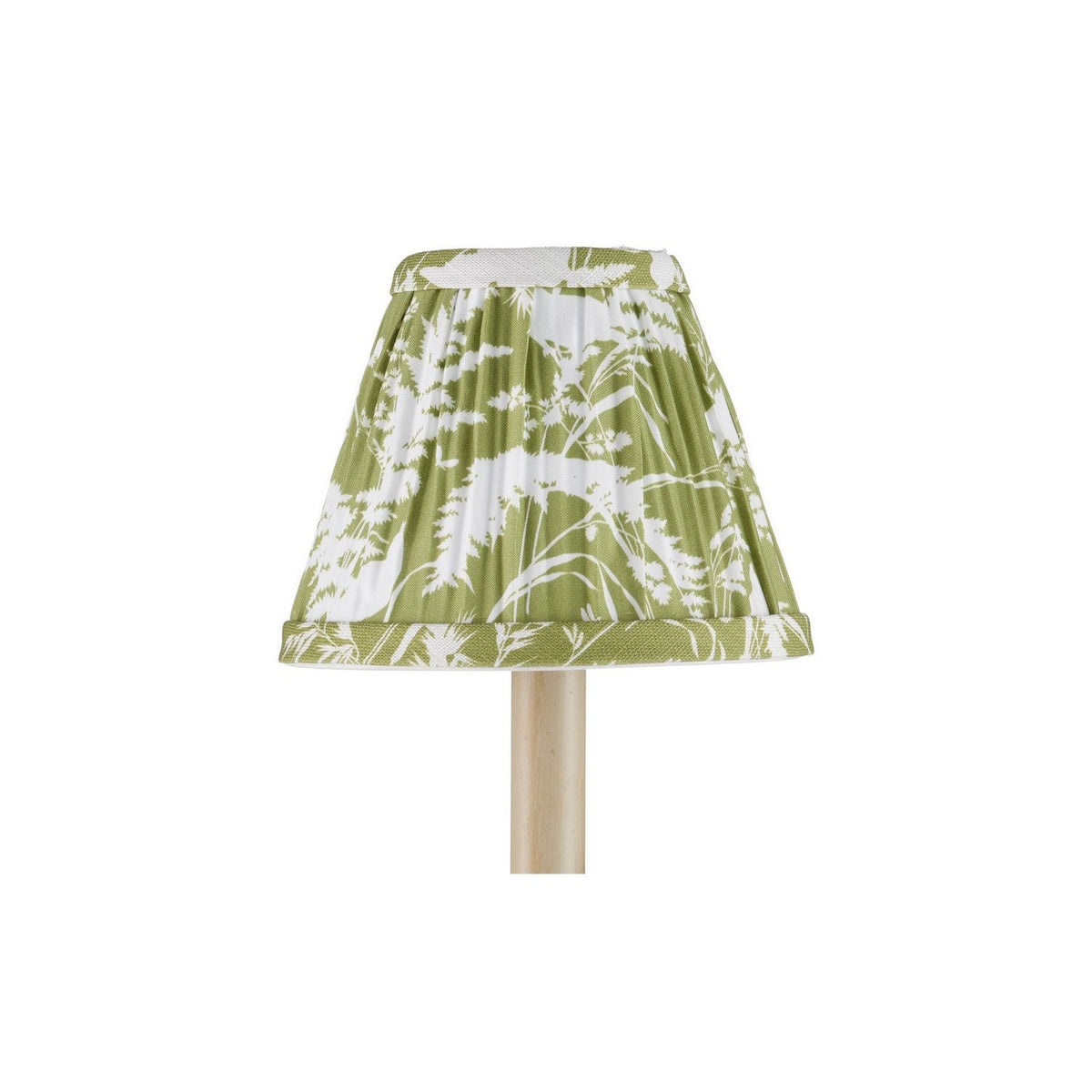 Currey and Company 0900-0043 Aviary Shade in Moss/Ivory