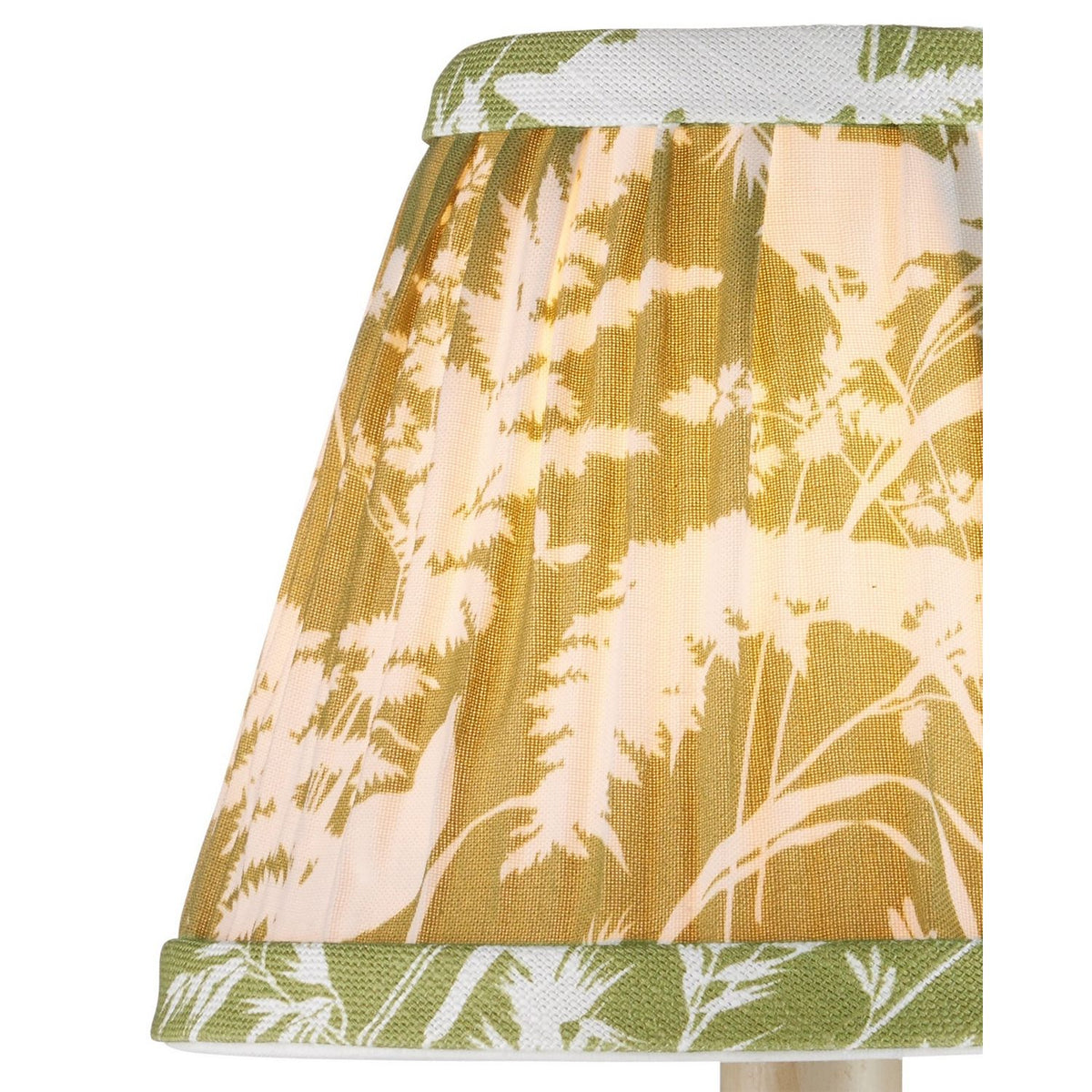 Currey and Company 0900-0043 Aviary Shade in Moss/Ivory