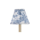 Currey and Company 0900-0044 Aviary Shade in Dusty Blue/Ivory