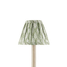 Currey and Company 0900-0052 Plume Shade in Green/Ivory