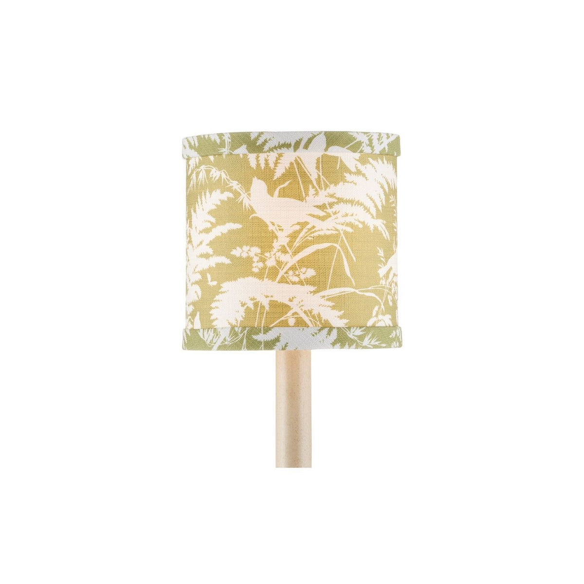 Currey and Company 0900-0055 Aviary Shade in Moss/Ivory
