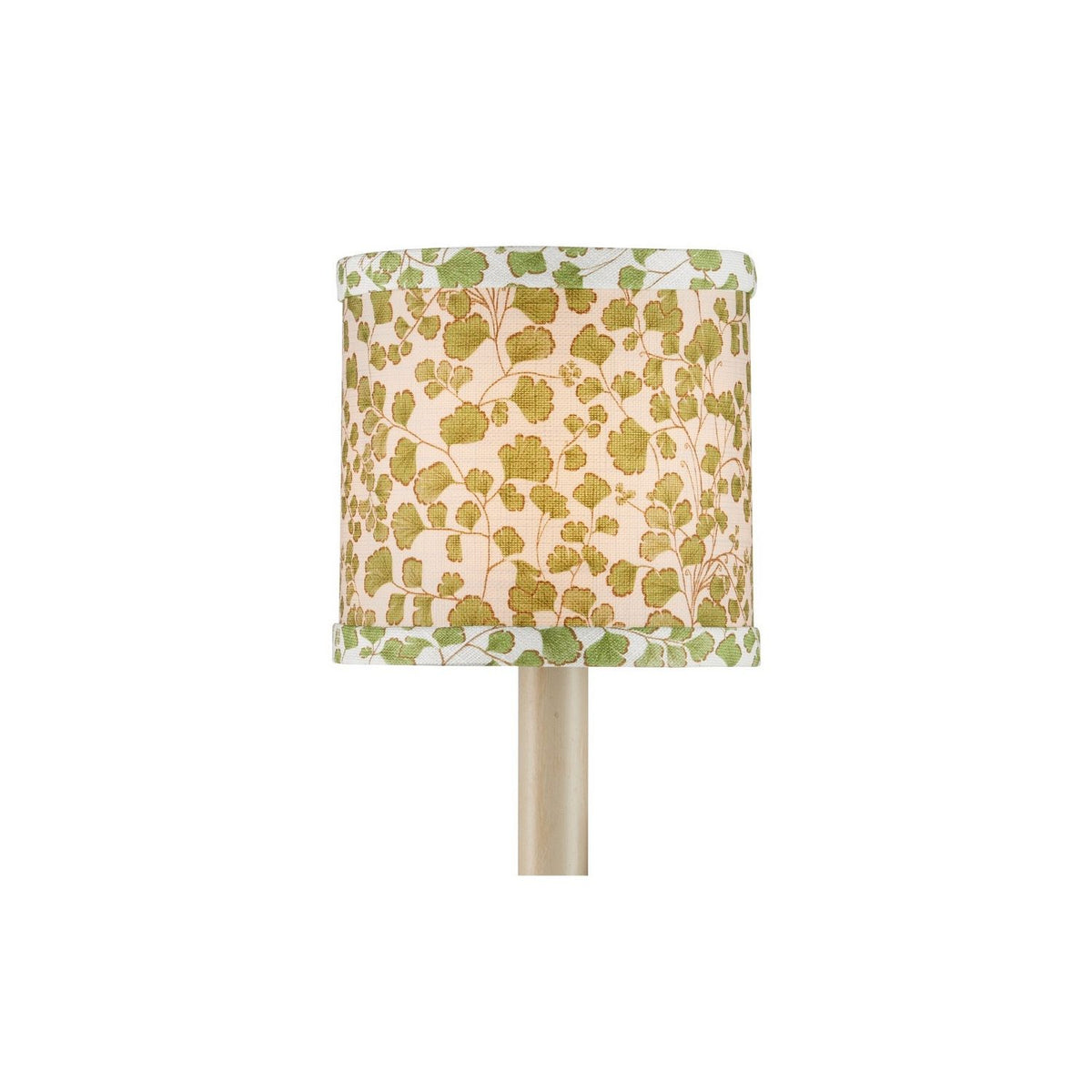 Currey and Company 0900-0057 Maiden Fern Shade in Green/Ivory