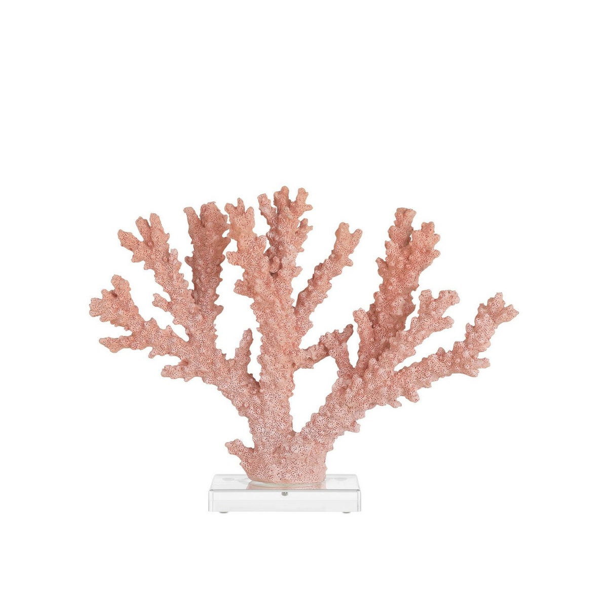 Currey and Company 1200-1083 Fire Coral in Coral/Clear