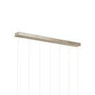 Currey and Company 9000-1394 Banyan Linear Multi-Drop Pendant in Antique Brass/Clear/Silver