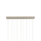 Currey and Company 9000-1399 Polpo Linear Multi-Drop Pendant in Green/Silver