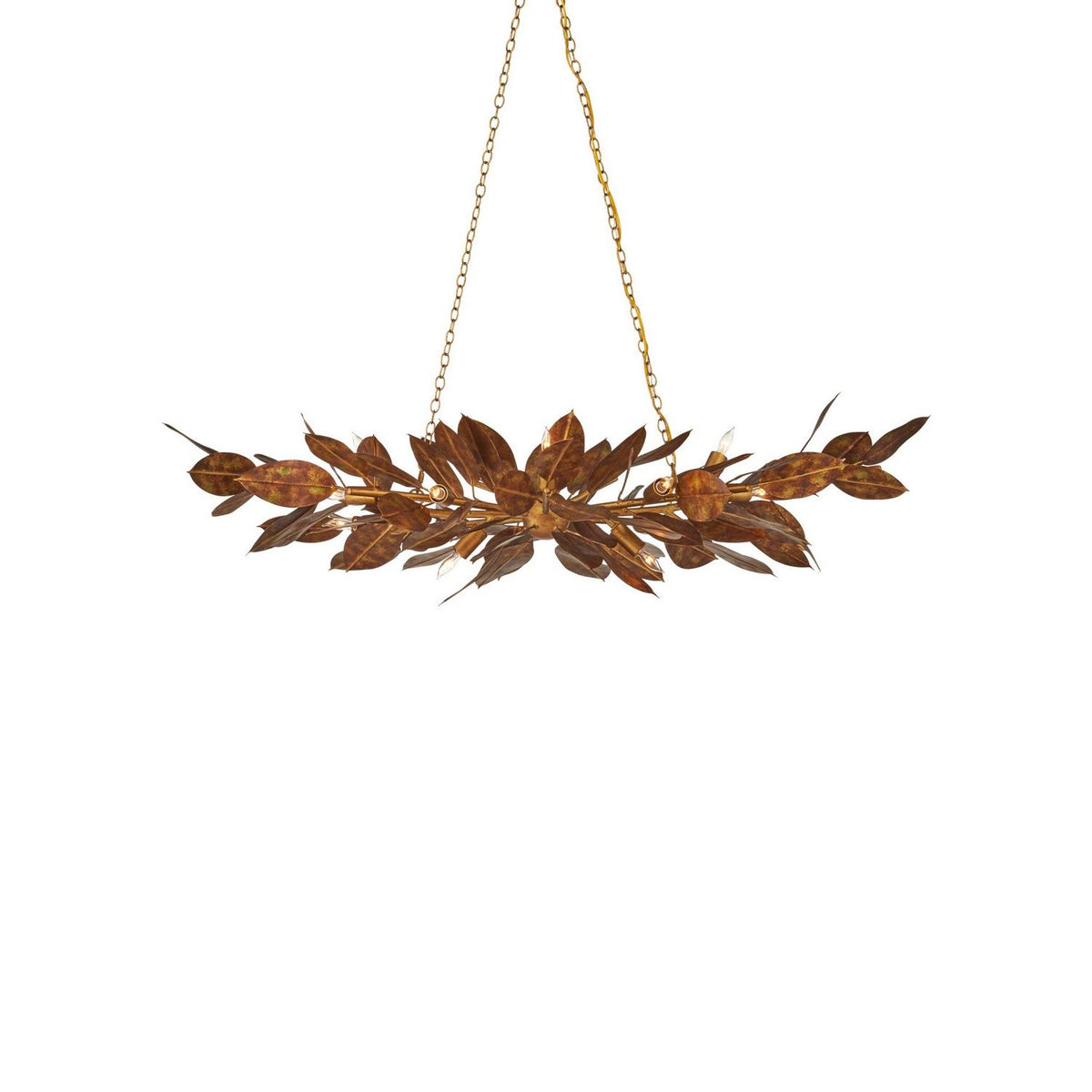 Currey and Company 9000-1432 Weston Oval Chandelier in Magnolia Leaf