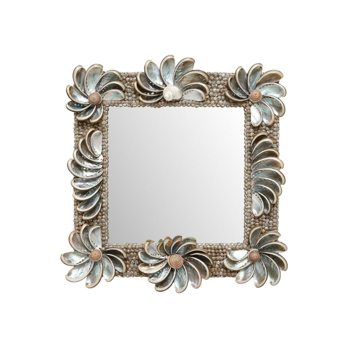 Currey and Company 1000-0175 Halcyon Mirror in Natural/Silver
