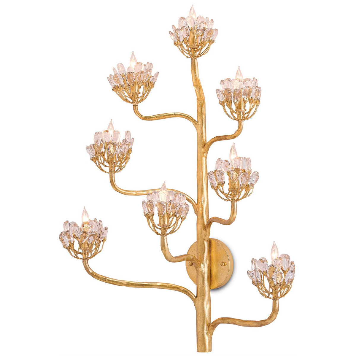 Currey and Company 5000-0058 Agave Americana Wall Sconce in Clear/Dark Contemporary Gold Leaf