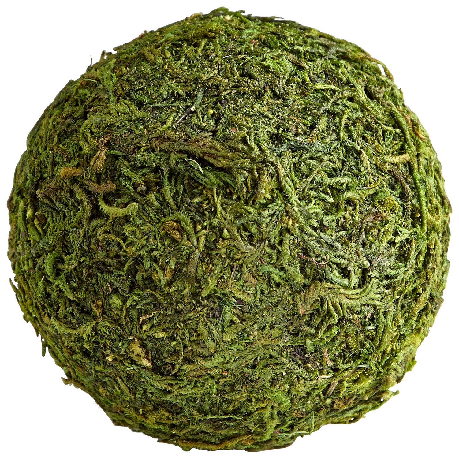 Cyan Canada - 07298 - Filler - Bermuda - Green Moss