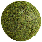 Cyan Canada - 07299 - Filler - Bermuda - Green Moss