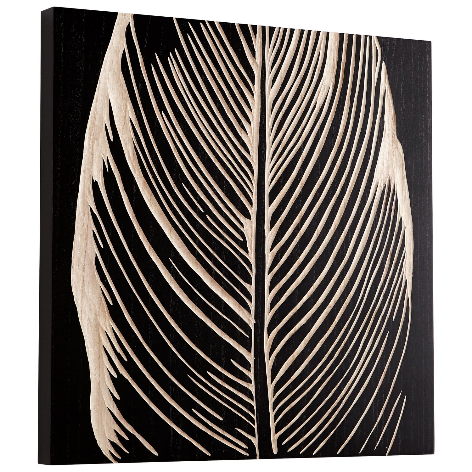 Cyan Canada - 07515 - Wall Art - Pompano - Black