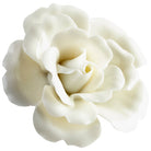 Cyan Canada - 09109 - Wall Decor - Blooming Parade - Off White Glaze