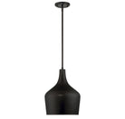 Meridian M70020ORB One Light Pendant in Oil Rubbed Bronze