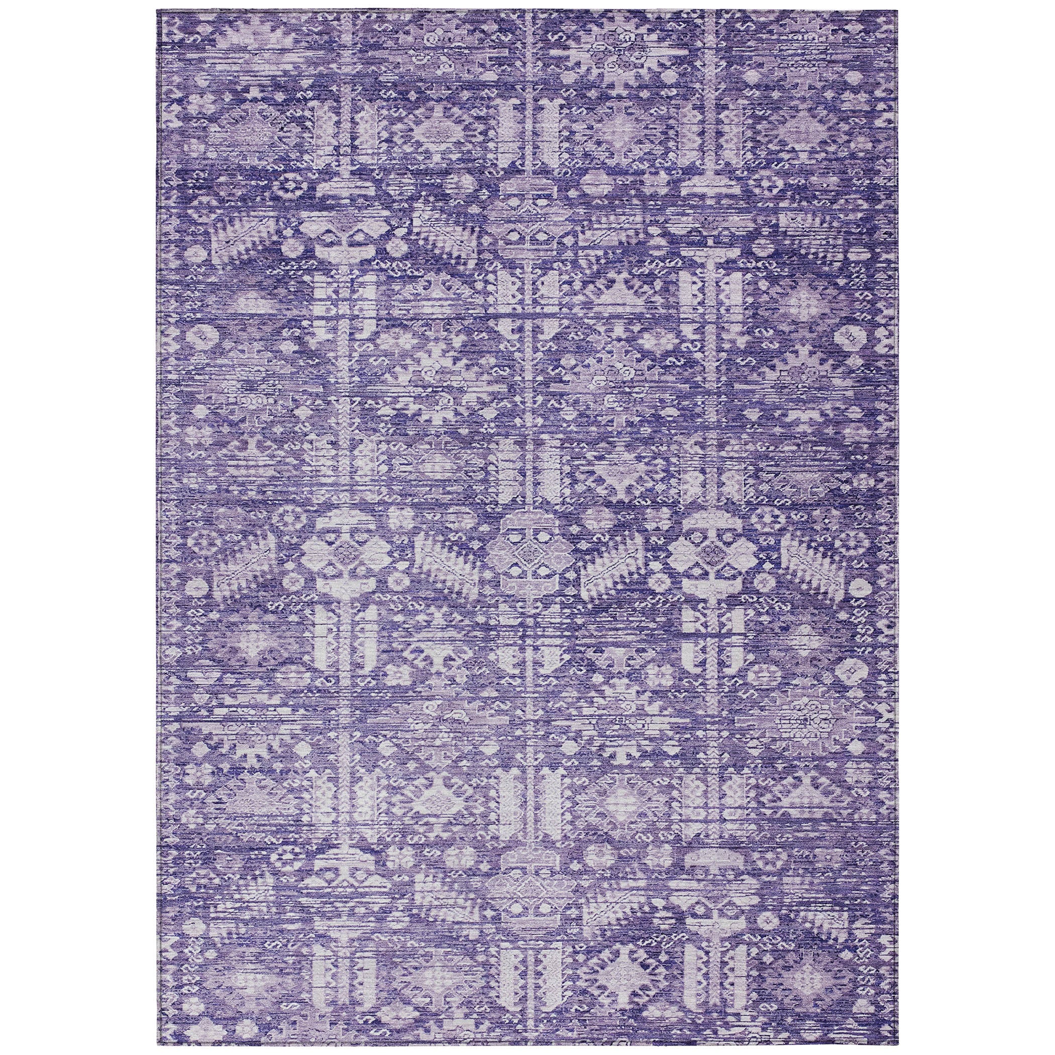 Chantille ACN1771 Purple