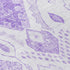 Chantille ACN776 Purple