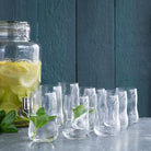 Holmegaard 4302370 Future Tumbler in Clear