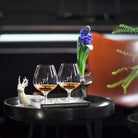 Holmegaard 4402008 Cabernet Bar Glasses in Clear