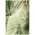 Marina Palm Fan Green